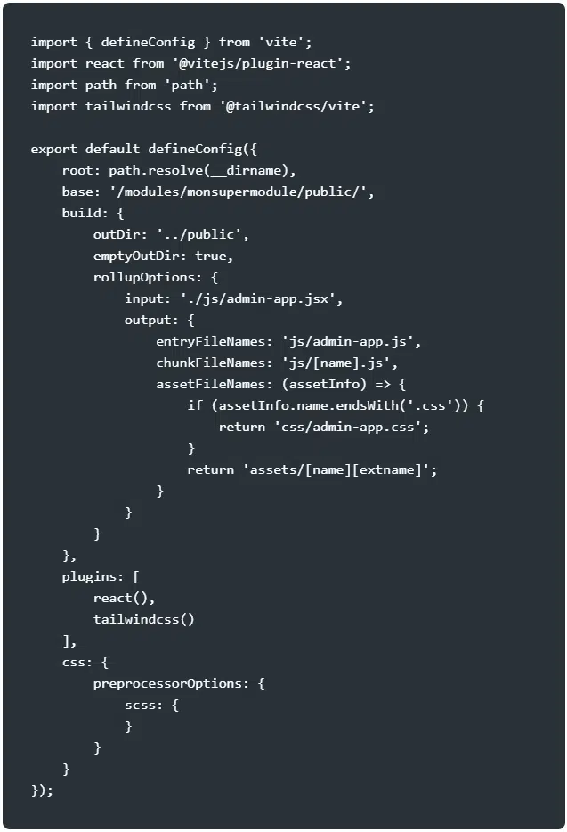 Configuration Vite